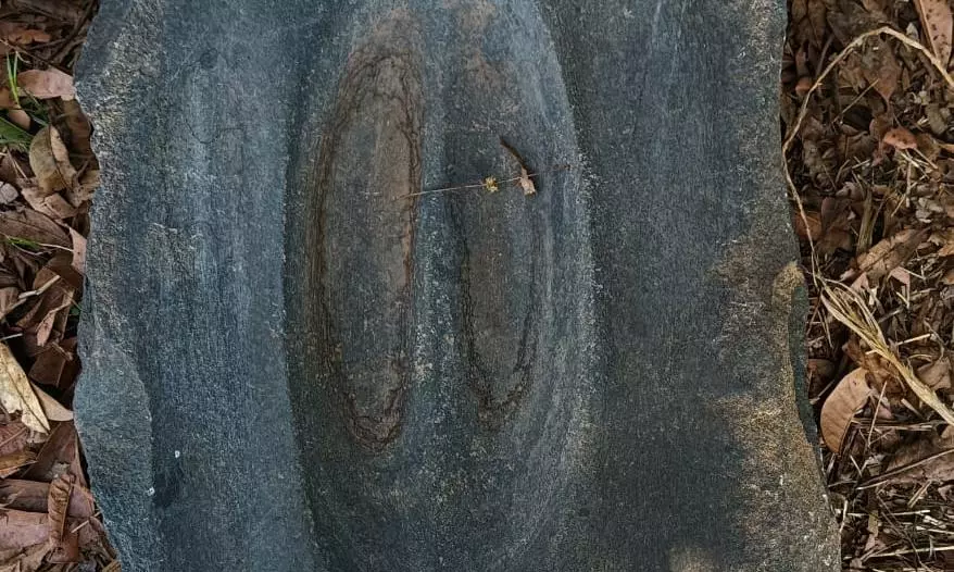 Rare Neolithic Musical Rock Unearthed In Jangaon