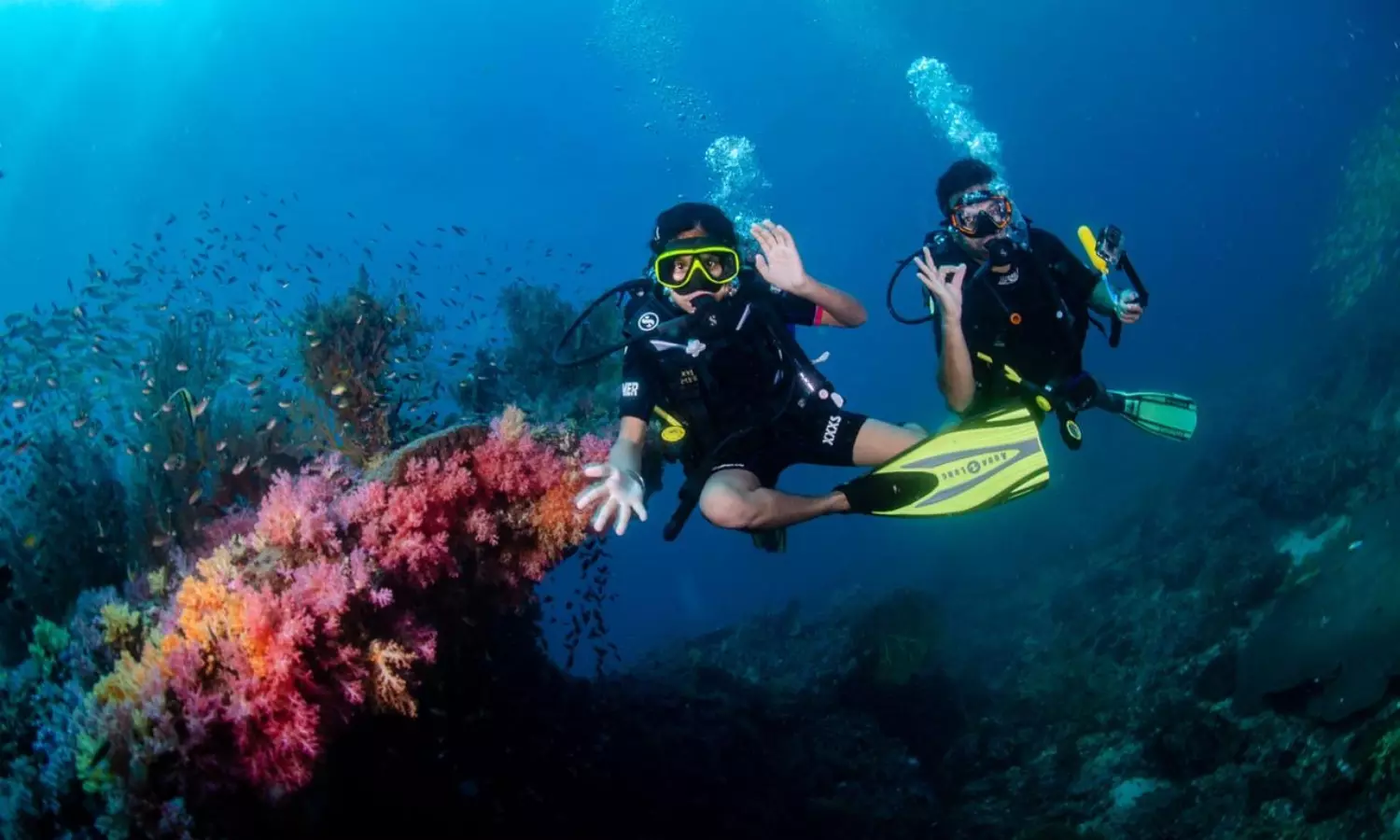 Young Diver from Bengaluru Leads Underwater Habitat Restoration off Pondicherry Coast