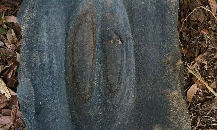 Rare Neolithic Musical Rock Unearthed In Jangaon