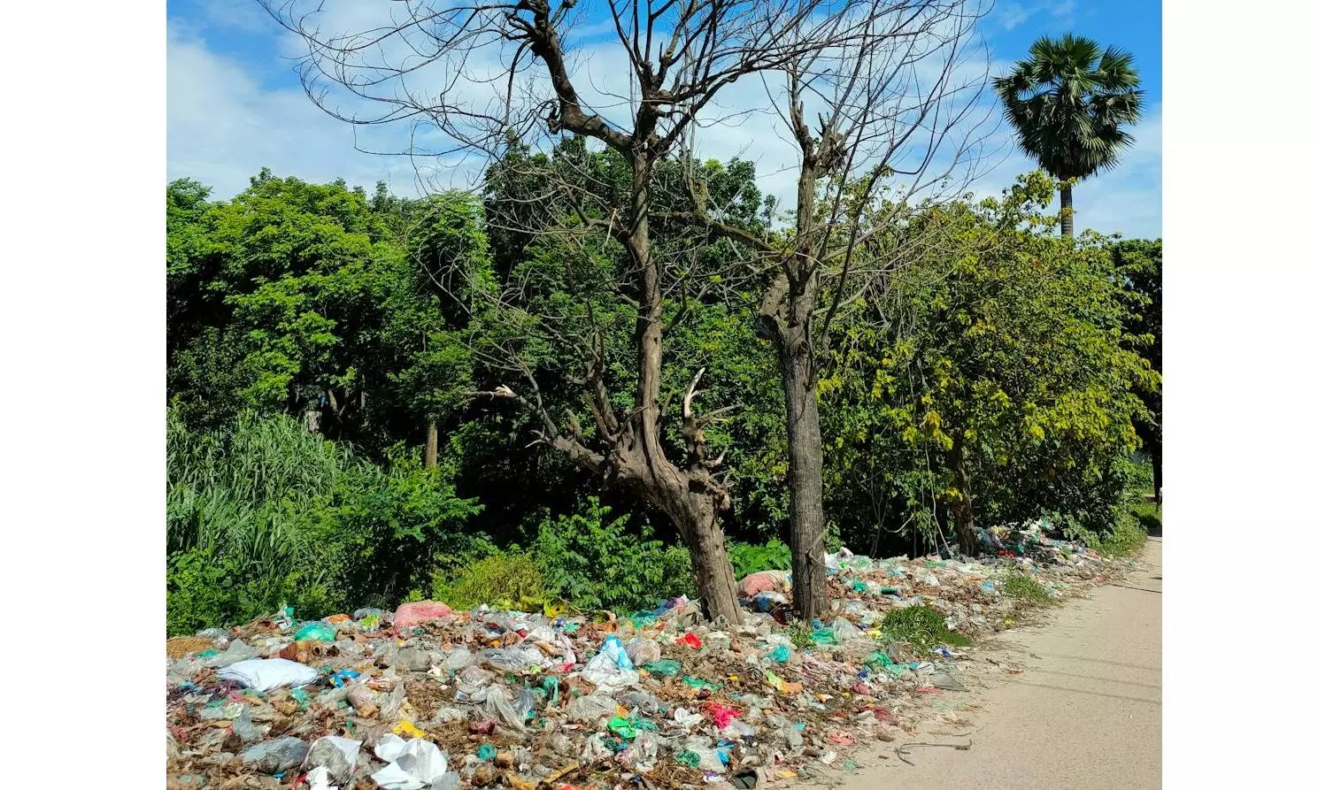 Cameras to Track Tourists Dumping Plastic Waste in Forest Areas
