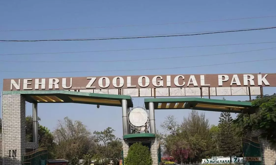 Hyderabad: Nehru Zoo Park Starts Summer Camp from May
