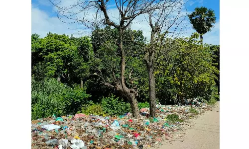 Cameras to Track Tourists Dumping Plastic Waste in Forest Areas