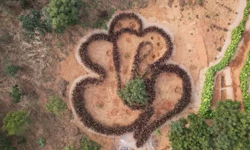 Hyderabad: Deccan Wood and Trails to Offer 4 Adventure Trips