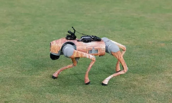 Delhi HC Issues Notice To BCCI Over IPLs Robo Dogs Name Champak