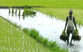 Better Monsoons May Help Agri Output Grow Better at 4 pc in FY26 Better Monsoons May Help Agri Output Grow Better at 4 pc in FY26