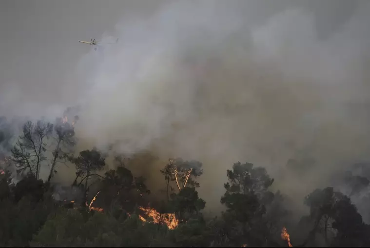 Firefighting Efforts Intensify as Israel Battles Wildfire Near Jerusalem