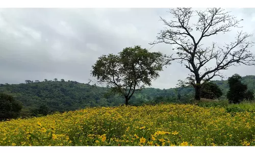 Processing Units To Come Up At Araku