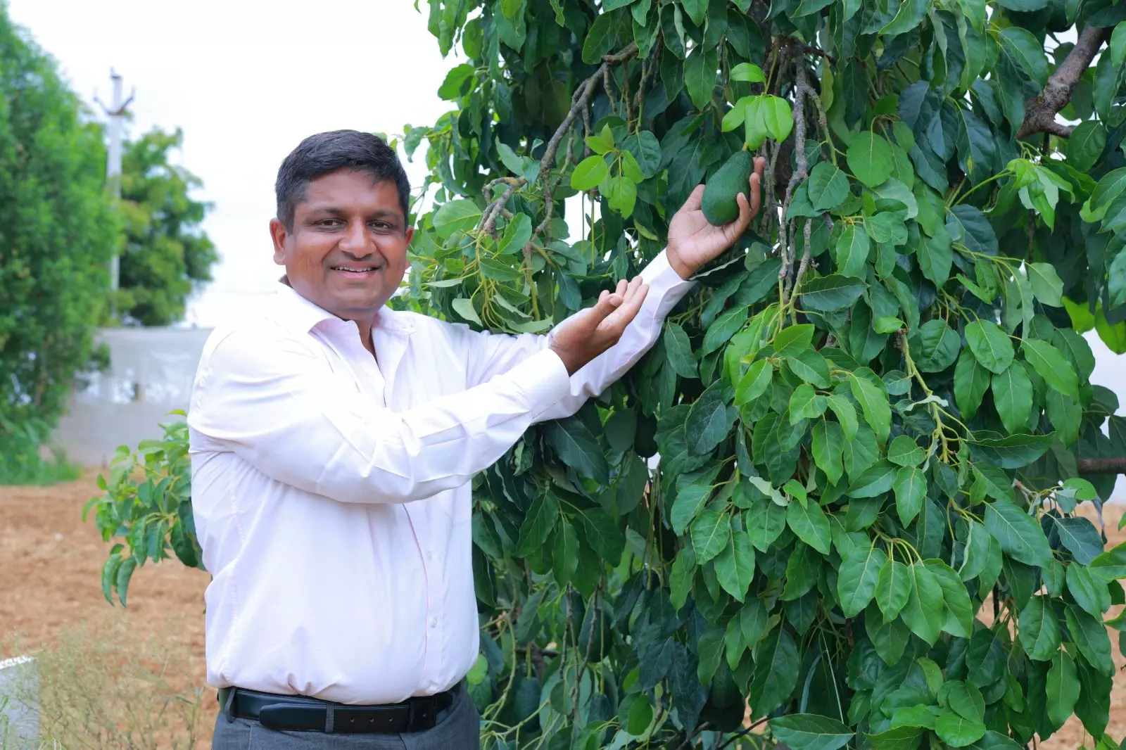 Telangana Farmers Turn to Exotic Fruits to Cut Imports