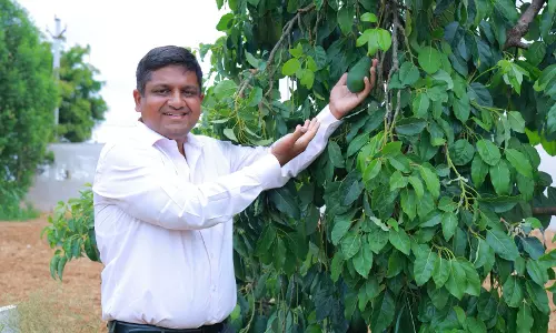 Telangana Farmers Turn to Exotic Fruits to Cut Imports