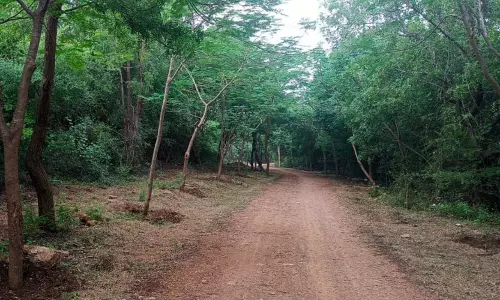 Fisherman, Pregnant Wife Rescued After Losing Way In Palnadu Forest