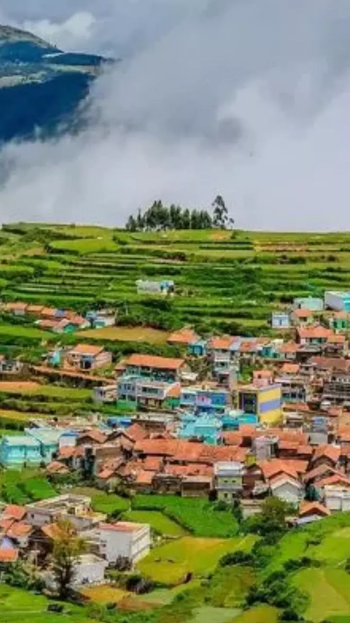 8 Summer Getaways In India
