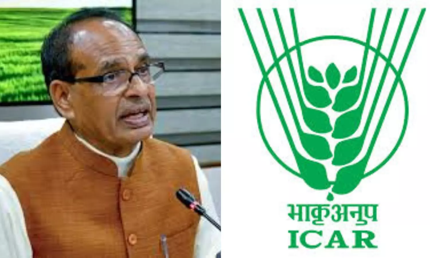 Agri Minister Chouhan Unveils First Genome-edited Rice Varieties, Yield To Rise Up To 30 pc