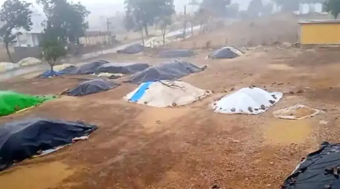 Untimely Rain Damages Crops in Nizamabad, Kamareddy