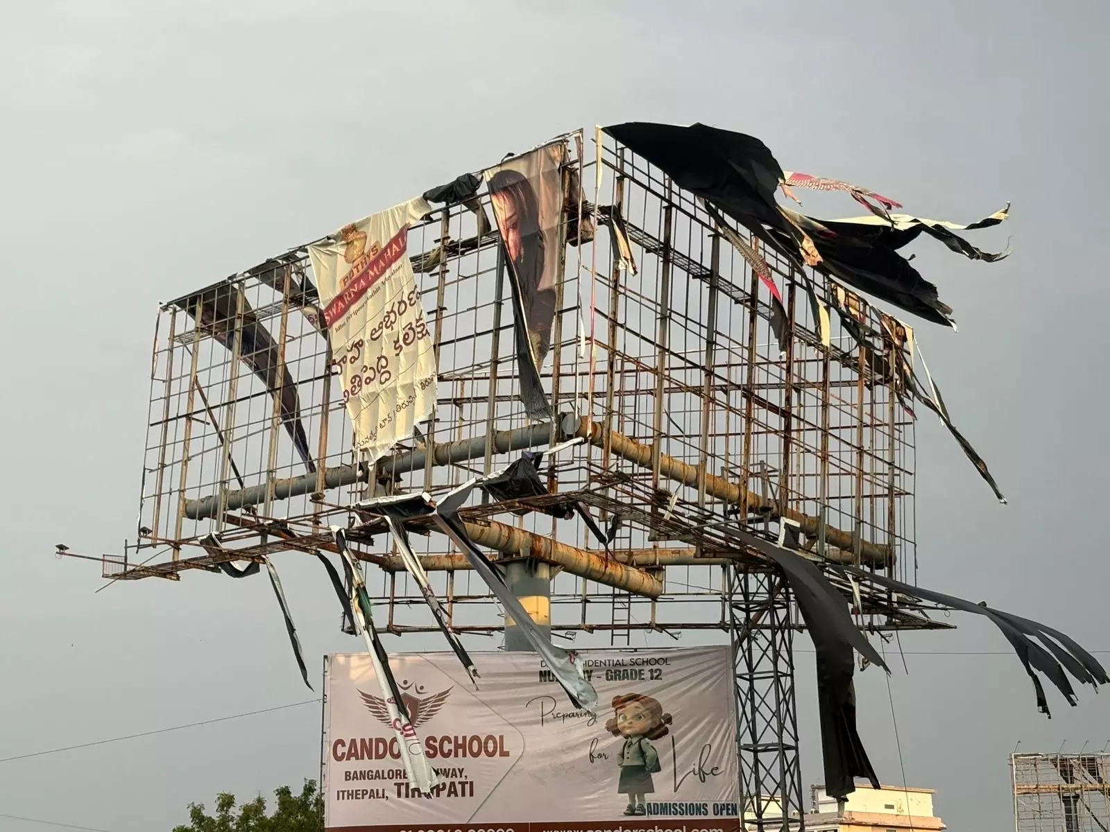 Rain, Gale Disrupt Life in Tirupati