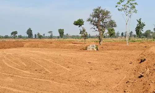 TG Grants Patta-Equivalent Rights Over 276 Acres To Adivasis Ousted From Kawal Tiger Reserve