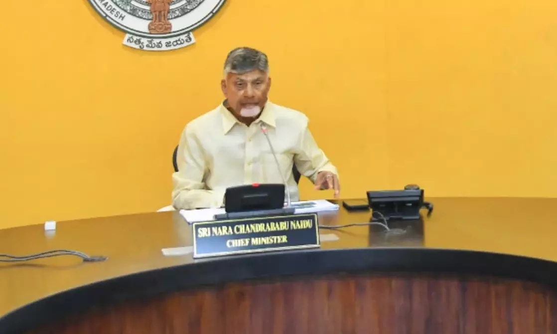 Andhra CM Promises More Welfare, Development Initiatives On First Anniversary Of TDP-Led Govt