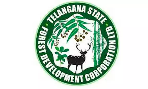 TGFDC Marks 10 Years With Grand Fest