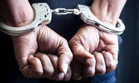 Indore Police Arrests in Drug and Theft Cases
