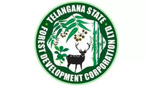 TGFDC Marks 10 Years With Grand Fest