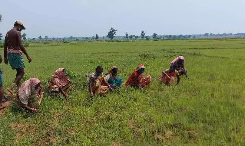 Farmers to Get Unique IDs Linked to Central Schemes