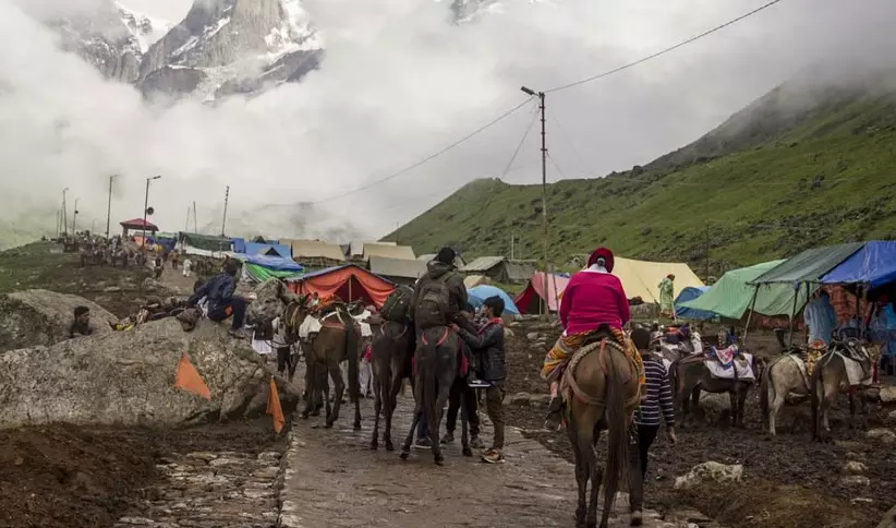24-Hour Ban on Horses, Mules on Kedarnath Route After 14 Deaths 24-Hour Ban on Horses, Mules on Kedarnath Route After 14 Deaths