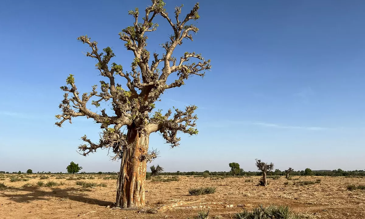 Global Temperatures Stuck at Near-Record Highs in April: EU Monitor Global Temperatures Stuck at Near-Record Highs in April: EU Monitor