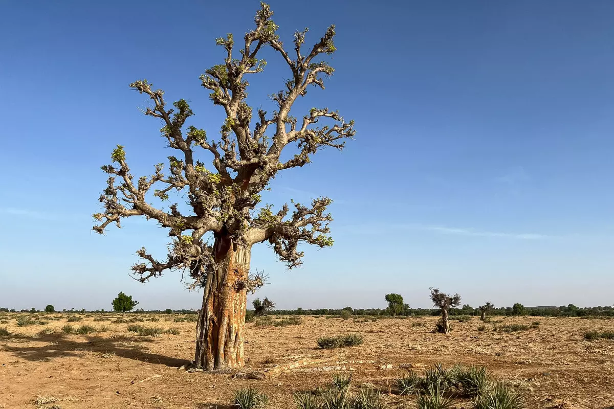 Global Temperatures Stuck at Near-Record Highs in April: EU Monitor Global Temperatures Stuck at Near-Record Highs in April: EU Monitor