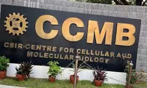 Protein Shape Shifting Offers Big Clues: CCMB Study