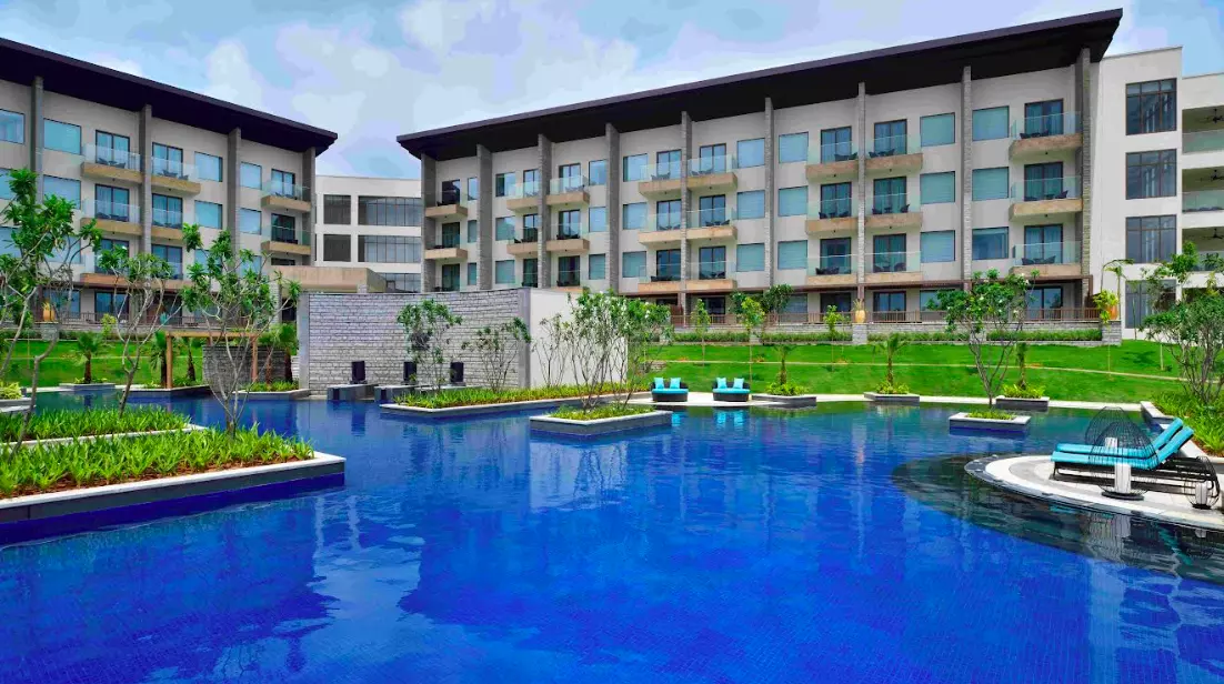 Sip, Savor, and Celebrate: Sunset Magic and Crafted Cocktails Sip, Savor, and Celebrate: Sunset Magic and Crafted Cocktails