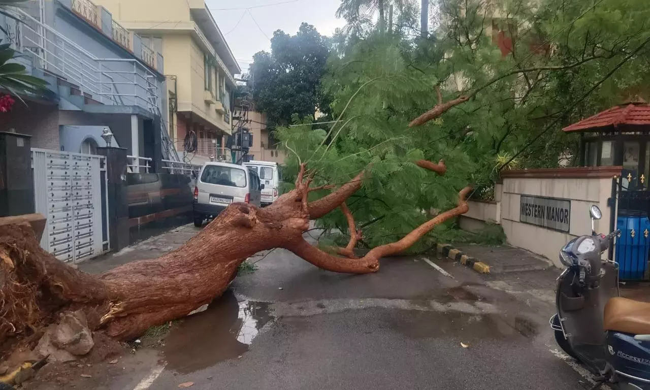 Hailstones Accompanied by Heavy Rains in Bengaluru
