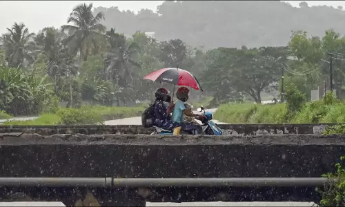 Best Places to Visit in Kerala During Monsoon