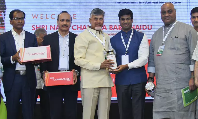 Tax on Property and House to Be Levied on Dairy Sheds in Rural Areas: CM Naidu