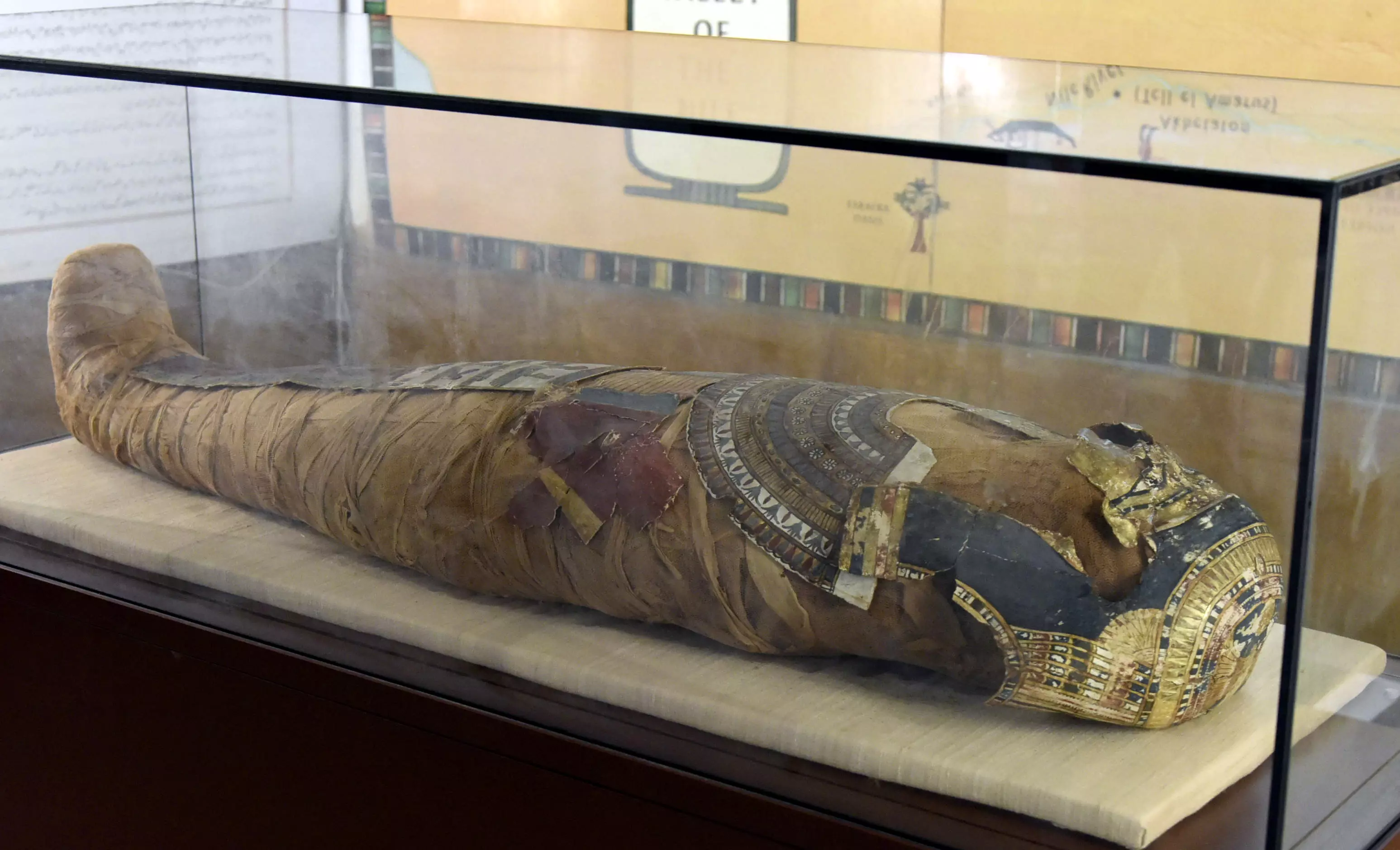 Egyptian Mummy Fails to Attract Visitors to Museum