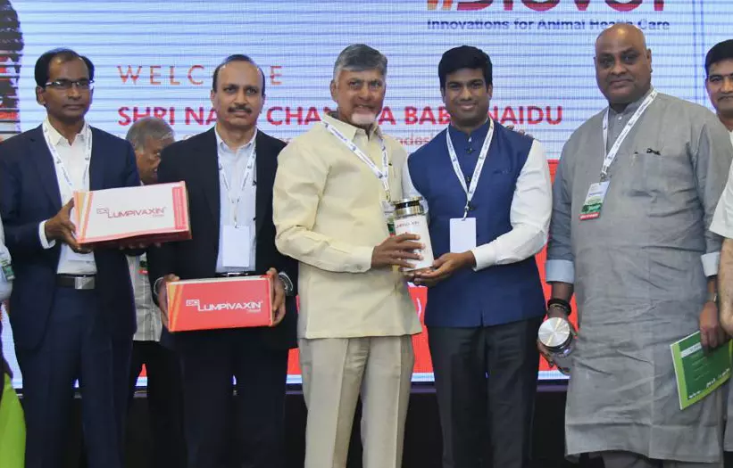 Tax on Property and House to Be Levied on Dairy Sheds in Rural Areas: CM Naidu Tax on Property and House to Be Levied on Dairy Sheds in Rural Areas: CM Naidu