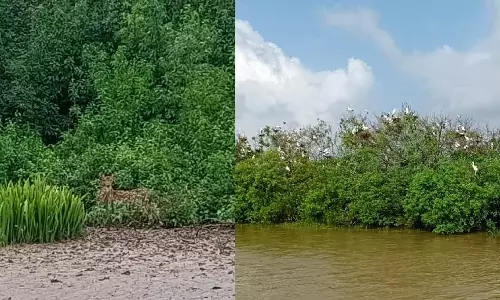 IMD Denies Cyclone Formation Over Bay of Bengal