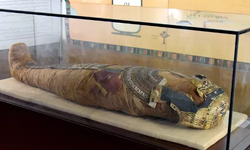 Egyptian Mummy Fails to Attract Visitors to Museum