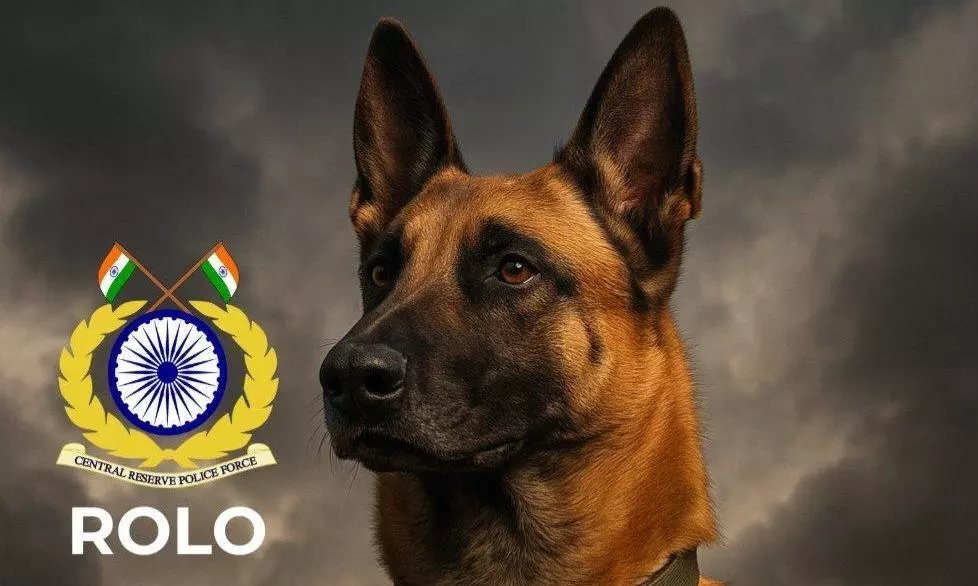 CRPF Bids Emotional Farewell To Canine Soldier Rolo