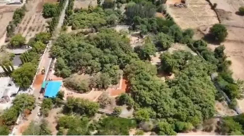 Miss World Contestants To Visit 700-Year-Old Pillalamarri In Mahbubnagar