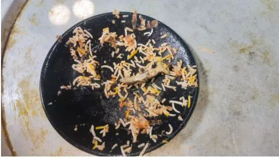 Customer Gets Fried Lizard In Chicken Biryani In Mehfil Hotel At Ibrahimpatnam