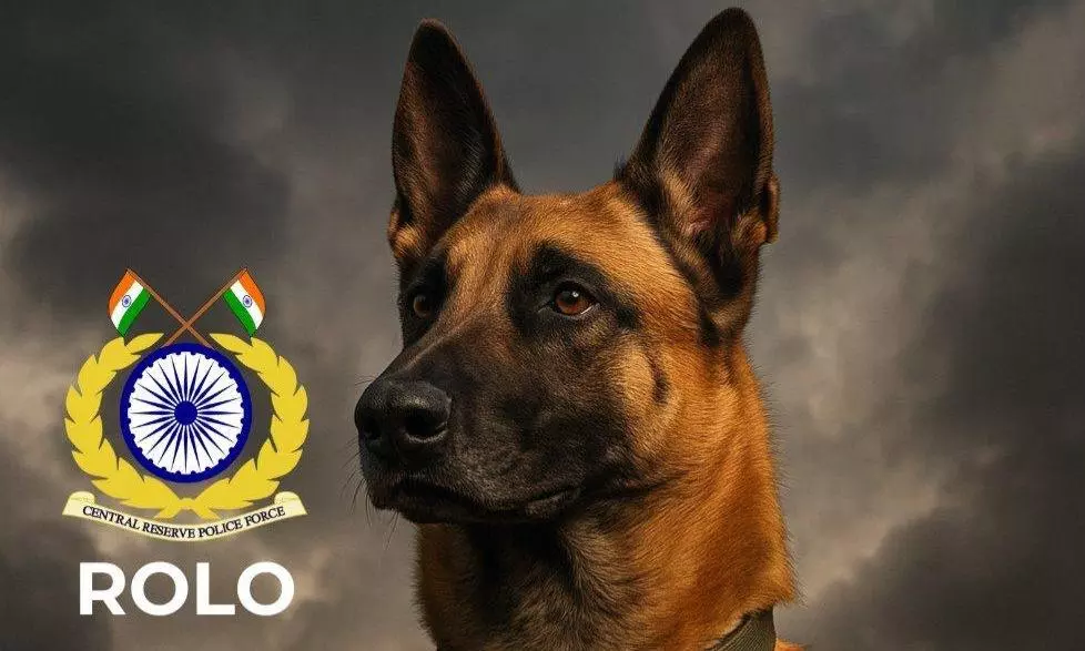CRPF Bids Emotional Farewell To Canine Soldier Rolo