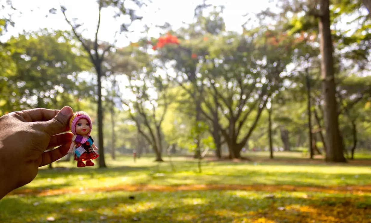 Year-Long Bengaluru Habba in BBMP Parks From Tomorrow