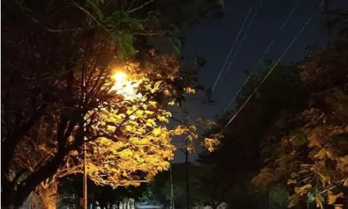 BHEL Hyderabad After Twilight: Peace in Every Corner