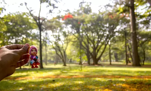 Year-Long Bengaluru Habba in BBMP Parks From Tomorrow