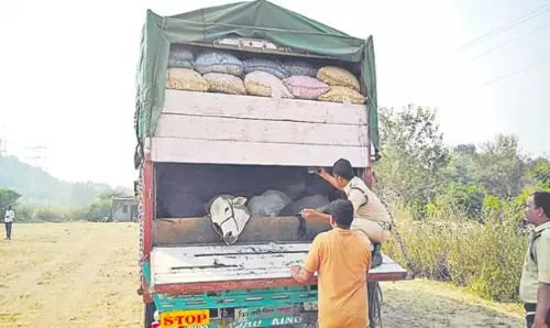 7 Cattle Checkposts Set Up In Khammam