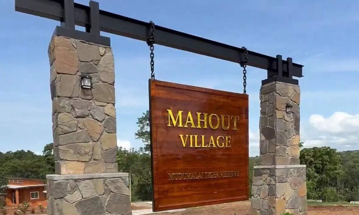 Tamil Nadu Inaugurates Indias First Mahouts Village At Theppakadu