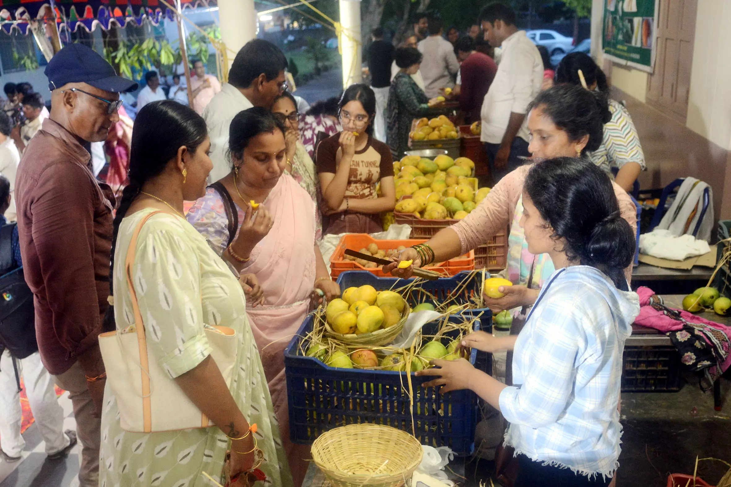 2-Day Organic Mango Mela Begins In Vizag