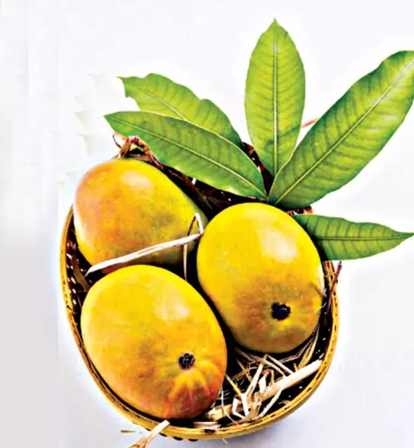 Summertime Culinary Ride