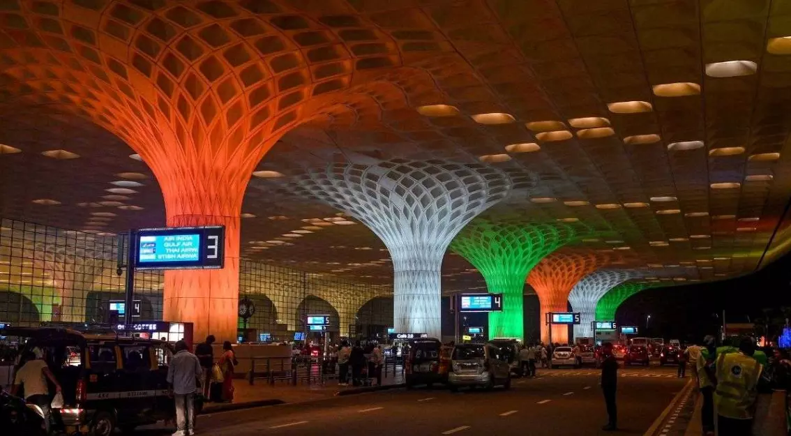 Passenger Caught with 36 Exotic Reptiles at Mumbai Airport
