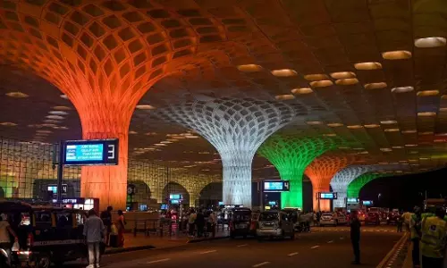 61 Live Animals Seized from Passenger at Mumbai Airport