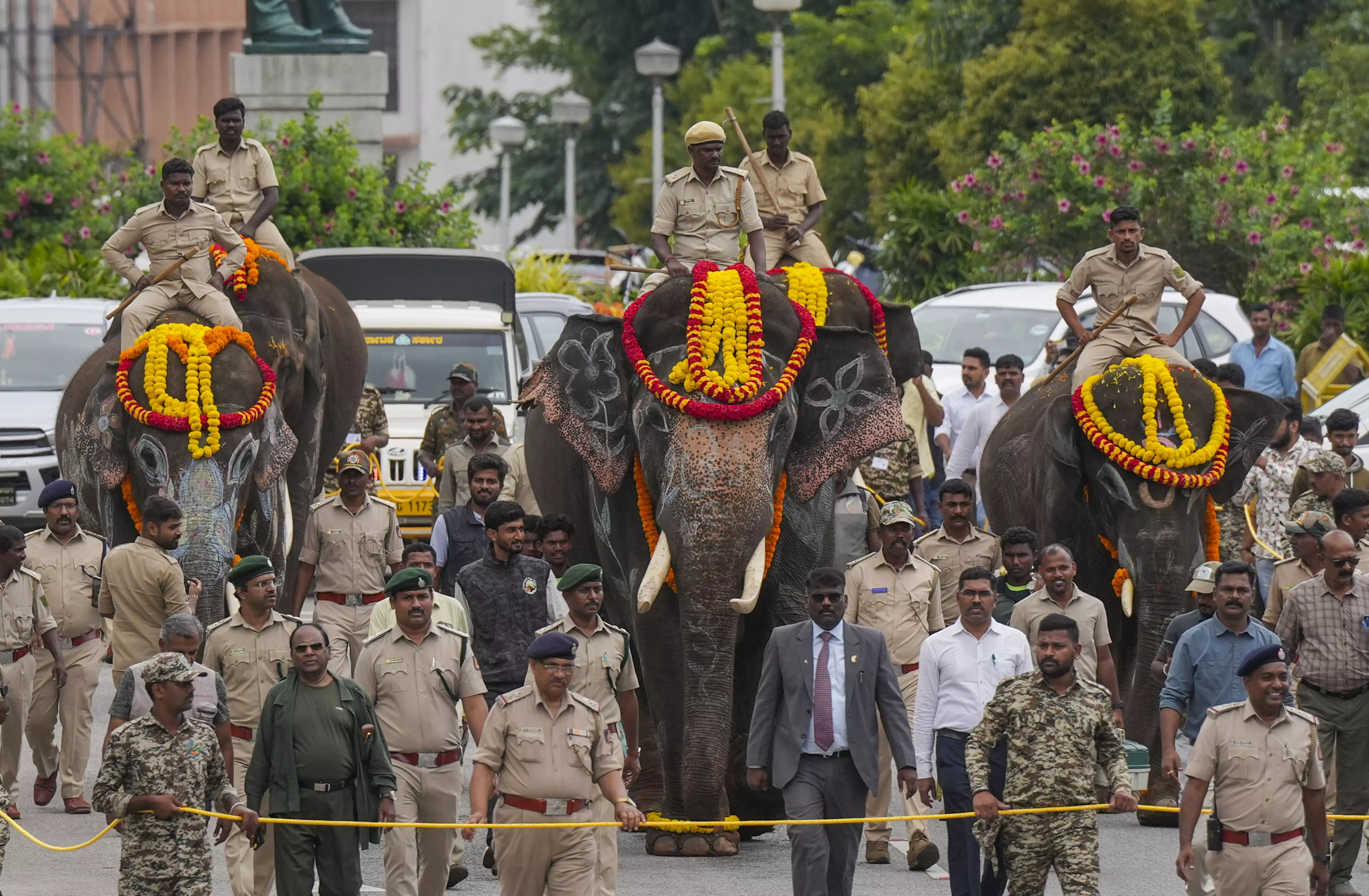 Karnataka Hands Over Six Kumki Elephants to AP